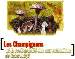 tcherno.gif (28576 octets)